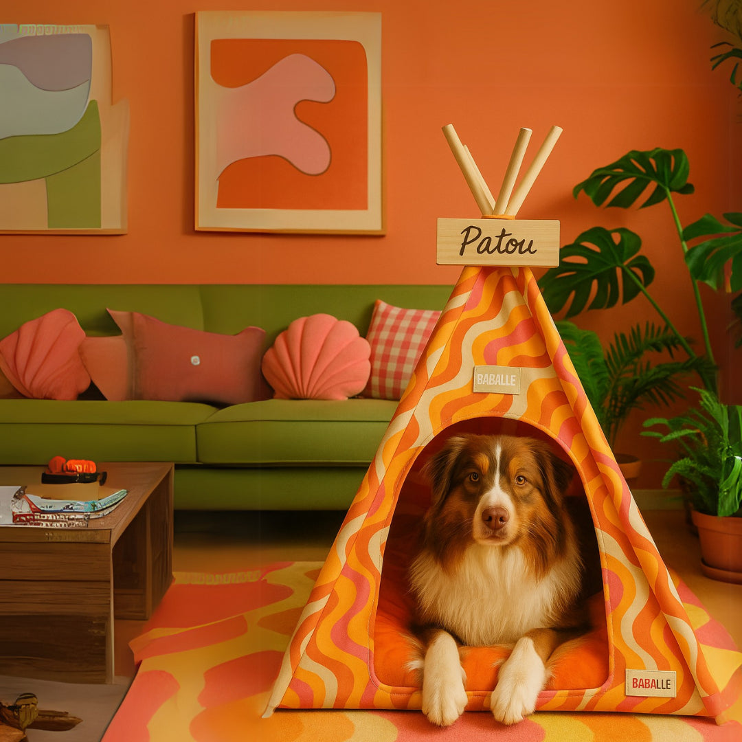 Le Funky | Tipi pour chien - Baballe Club
